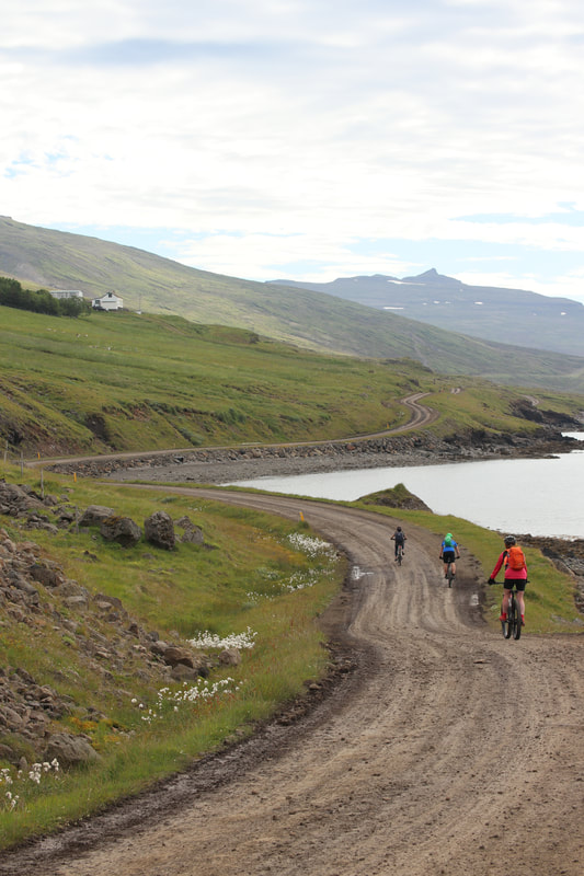 A group of people biking into the countryside just outside Eskifjörður. 