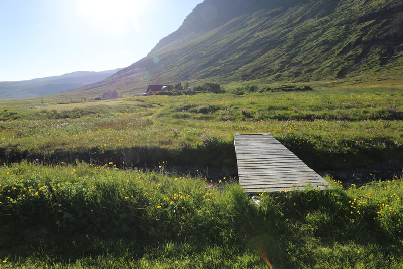 A green field and in the distance the travelers' hut Karlsstaðir in Vöðlavík. 