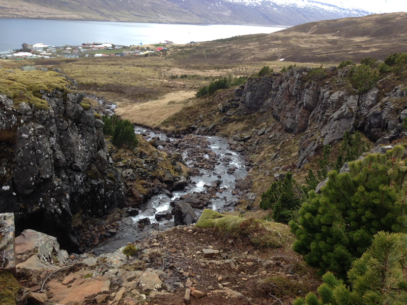 Overlooking a ravine and a river that flows down it. In the distance sits Stöðvarfjörður. 
